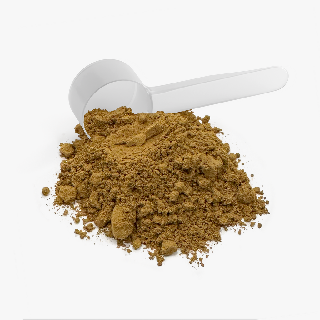 Mushroom Fuse Instant Coffee (Medium Roast)